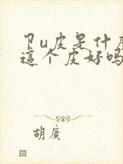 卩u皮是什么皮这个皮好吗封面