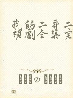 我的二哥二嫂电视剧全集完整免费