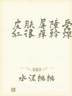 皮肤屏障受损泛红很痒干燥