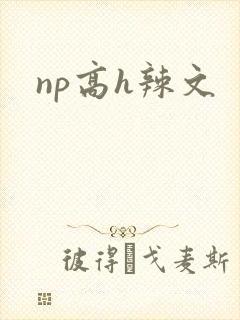 np高h辣文