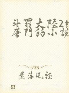 斗罗大陆2绝世唐门的小说封面