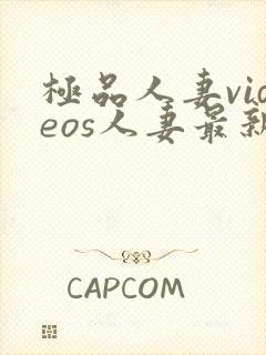 极品人妻videos人妻最新章节列表