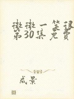 微微一笑很倾城第30集免费