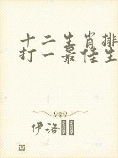 十二生肖排第六打一最佳生肖封面