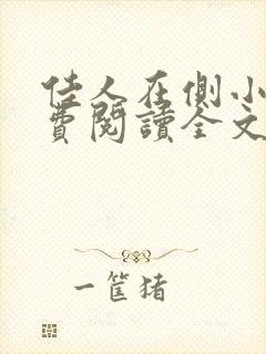 佳人在侧小说免费阅读全文无弹窗