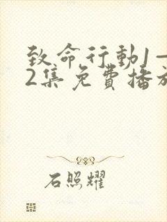 致命行动1—42集免费播放