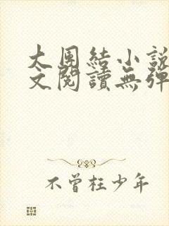 大团结小说集全文阅读无弹窗