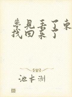 梦见丢了东西又找回来了封面