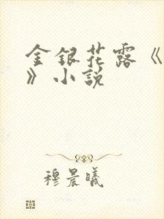 金银花露《乐可》小说封面