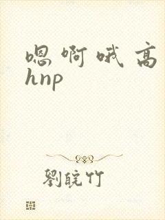嗯 啊 哦 高hnp