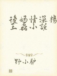 后妈情深杨晓芬王磊小说