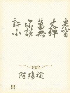 许你万丈光芒好小说无弹窗无广告