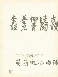 李普柳晓岚的小说免费阅读全文无弹窗