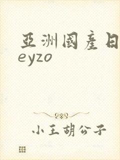 亚洲国产日韩heyzo