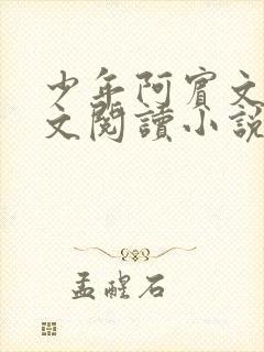 少年阿宾文全全文阅读小说