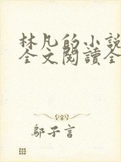 林凡的小说免费全文阅读全文封面