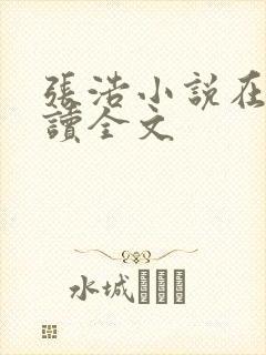 张浩小说在线阅读全文封面