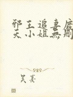 邪王追妻废材逆天小姐无删减