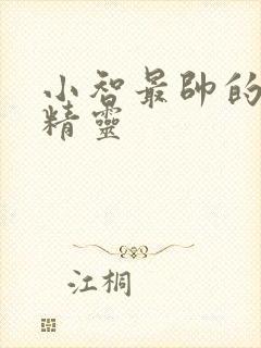 小智最帅的6只精灵