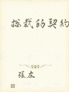 总裁的契约情人封面