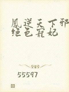 凤逆天下邪帝的绝色宠妃封面