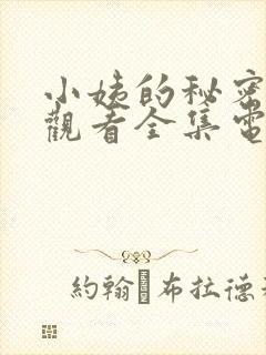 小姨的秘密免费观看全集电视剧封面