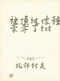 被顶级坏种强取豪夺了txt封面