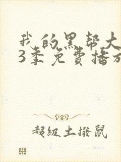 我的黑帮大佬第3季免费播放电视剧