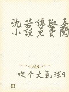 沈若锦与秦琅的小说免费阅读