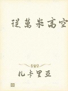 从万米高空降临封面