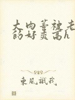 大肉蒂被老头嘬的好爽高h