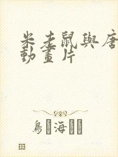 米老鼠与唐老鸭动画片