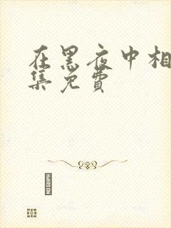 在黑夜中相拥全集免费