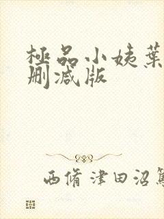 极品小姨叶凡无删减版封面