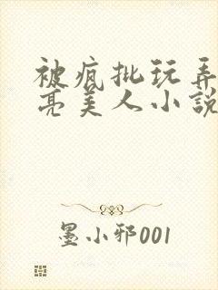 被疯批玩弄的漂亮美人小说