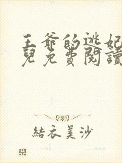 王爷的逃妃齐水儿免费阅读