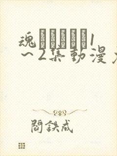 魂インサート1～2集动漫免费播放