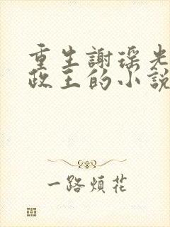 重生谢瑶光和摄政王的小说35