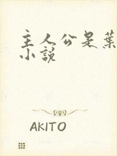 主人公是叶观的小说