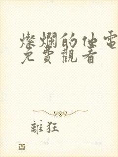 灿烂的他电视剧免费观看