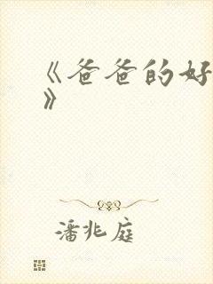 《爸爸的好儿子 》