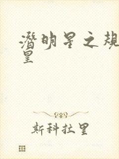 潜明星之规则之皇封面