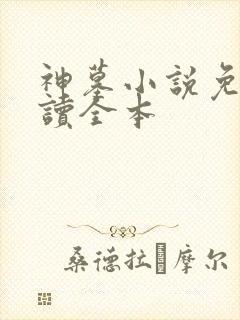 神墓小说免费阅读全本