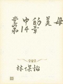 掌中的美母版主第14章