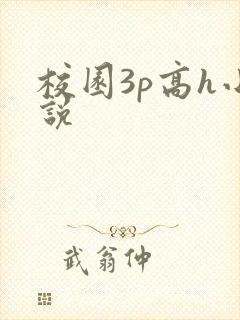 校园3p高h小说