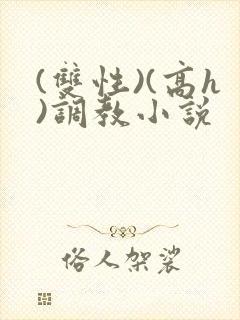 (双性)(高h)调教小说