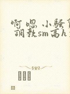 啊 嗯 小骚货 调教sm高h文