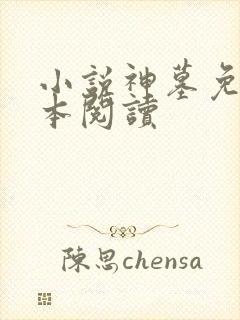 小说神墓免费全本阅读