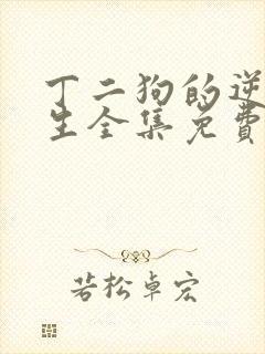 丁二狗的逆袭人生全集免费播放