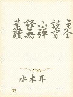 叶锋小说免费阅读无弹窗全文